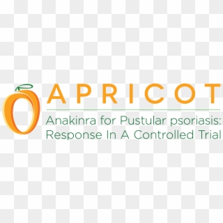 Apricot - Circle Clipart
