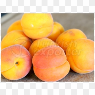 Apricot Clipart