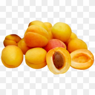 Apricot Production - Apricots Clipart