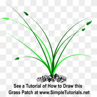 Patch Of Grass Clipart