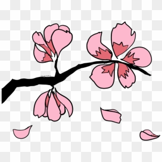Sakura Blossom Clipart Leaves - Sakura Clip Art Png Transparent Png