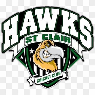 News - St Clair Hawks Cricket Club Clipart
