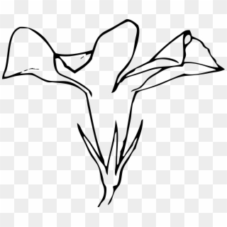 Minimalist Flower Drawing - Flower Side View Drawing Clipart