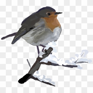 Medium Image - Snowy Birds Clip Art - Png Download