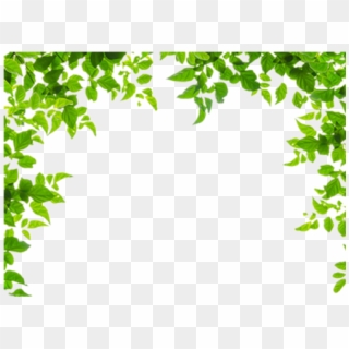 And Leaf Leaves Green Frames Borders Border Clipart - Green Leaves Border Png Transparent Png