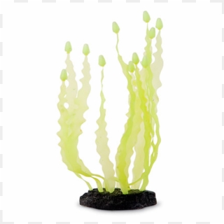 Sporn Yellow Caulerpa Seaweed - Cactus Clipart