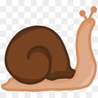 2400 X 2400 5 - Snail Clipart - Png Download