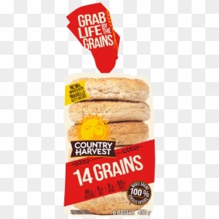 14 Grains Bagel Image - Bread Clipart