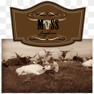 Moss Longhorns - Reindeer Clipart