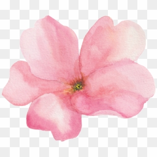 Transparente Png Ornamental De Flores Rosas Clipart