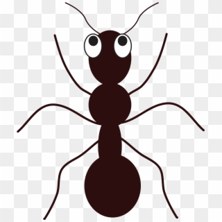 Ant Clipart At Getdrawings - Free Clip Art Ant - Png Download