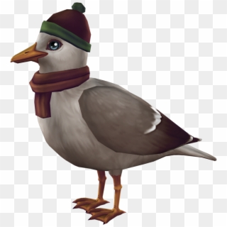 Steven Seagull - Duck Clipart