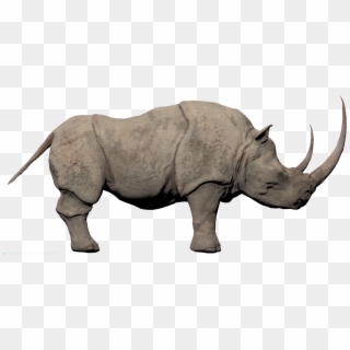 Rhino Png Free Pic - White Rhino Conan Exiles Clipart