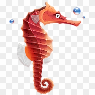 Seahorse - Seahorse Icon Clipart