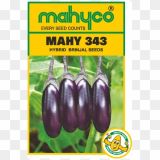 Brinjal Hybrid - Mahyco Every Seed Counts Clipart