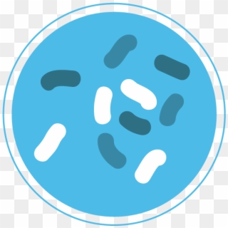 Bacteria Icon Png Clipart