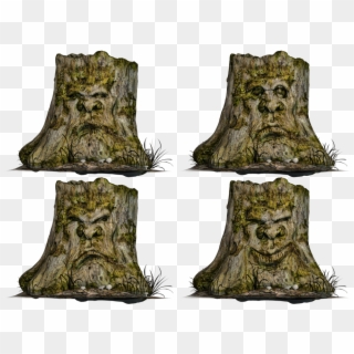 Tree Stump Png - Trunk Clipart
