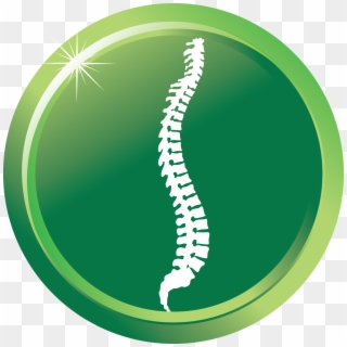 Chiropractic Spine Png - Spine Health Clipart