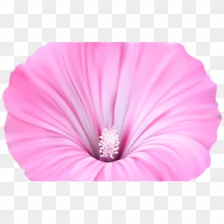 Hawaiian Flower Clip Art Bordor Transparent Background - Clip Art - Png Download