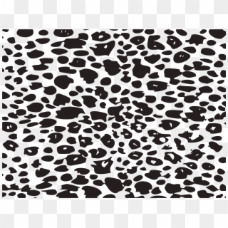 Jpg Library Download Leopard Black And White Animal Clipart