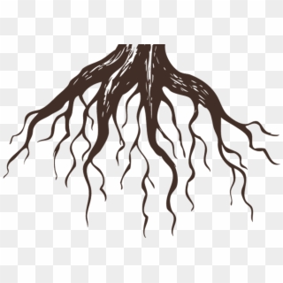 Roots Clinic Isla Mujeres - Tree With Roots Tattoos Clipart