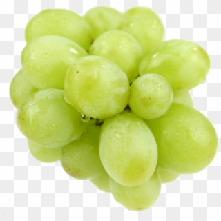 Grapes - Bunch Of Green Grapes Clipart