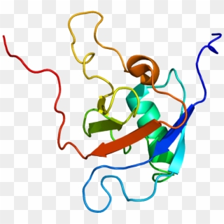 Protein Plxnb1 Pdb 2jph - Illustration Clipart