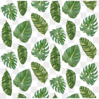 Banana Leaves Png - Tropical Leaf Pattern Transparent Clipart