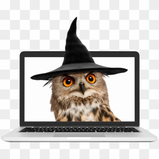 Owl Wearing A Wizard Hat - Batch Function Clipart