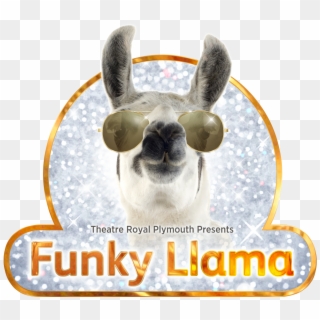 Funky Llama Generic Aviators Standalone - Rabbit Clipart