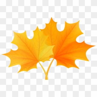 Free Png Download Fall Leaves Png Clipart Png Photo - Laurier University Leaf Transparent Png