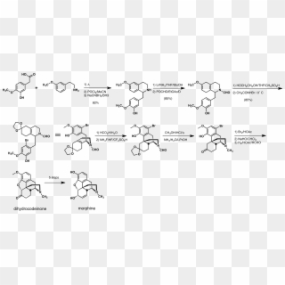Rice Morphine Synthesis - Biosynthesis Of Morphine Alkaloids Clipart