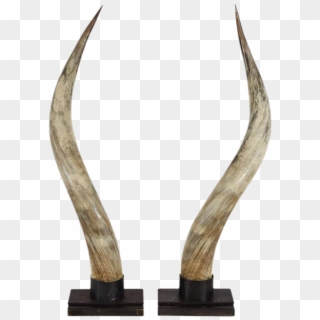 Excellent Steer Horns On Stands A Pair - Yak Horn On A Black Stand Clipart