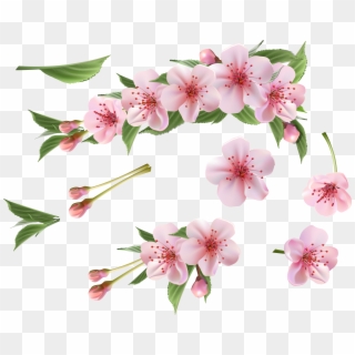 Spring Pink Flowers Png Clipart