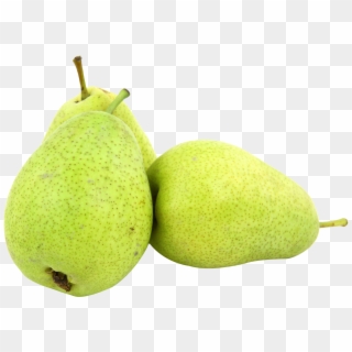 1484 X 1072 - Pears Png Clipart