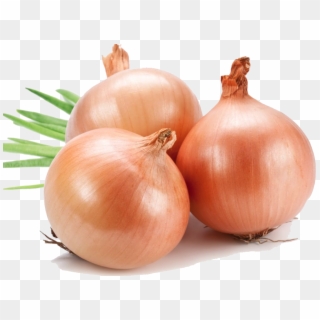 Onion Png File - Onion Png Clipart