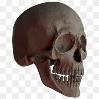 Skull, Skull And Crossbones, Bone, Creepy, Weird, Death - Crâne Tête De Mort Clipart