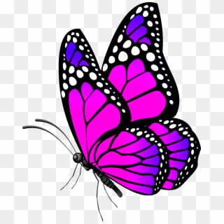 Butterfly Pink Png Clip Art Image Transparent Png