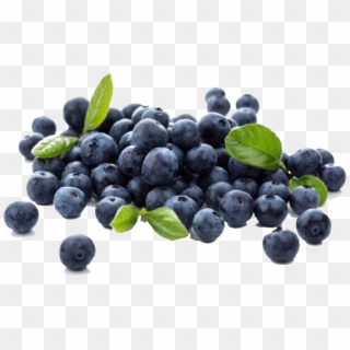 Buy Blueberry In Pakistan Clipart