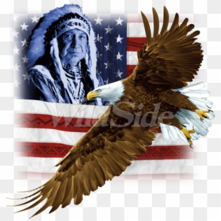 Eagle Flag Picture Clipart