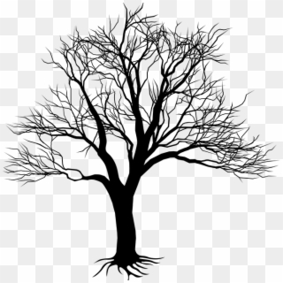 Tree Drawing Png - Black Tree Silhouette Clipart