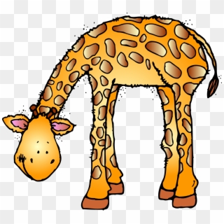 Animal - Transparent Zoo Animal Clipart - Png Download