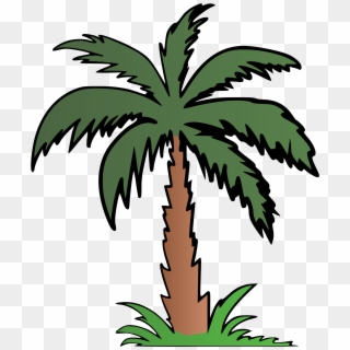 Palm Tree Clipart Terrestrial Plant - Png Download