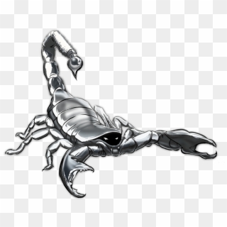 800 X 622 5 - Silver Scorpion Png Clipart