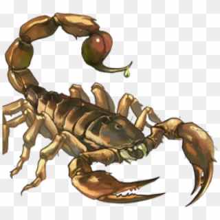 Scorpion Png Free Download - Escorpião Png Clipart