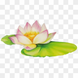 Nelumbo Nucifera Flor De Dibujo Clip Art - Lotus Flower Drawing Png Transparent Png