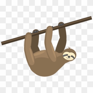 Sloth Sloppy - Io - Sloth In A Tree Png Clipart