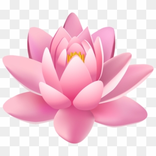 Lotus Flower Png - Hình Bông Sen Phật Giáo Clipart