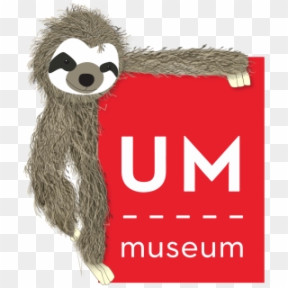 This The Library Sloth - University Of Mississippi Museum Clipart