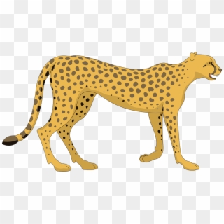Jpg Transparent Library Cheetah Png For Free Download - Cheetah Png Cartoon Clipart